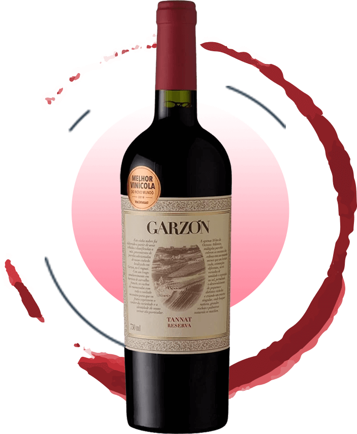 Vinho Garzon Tannat Reverva