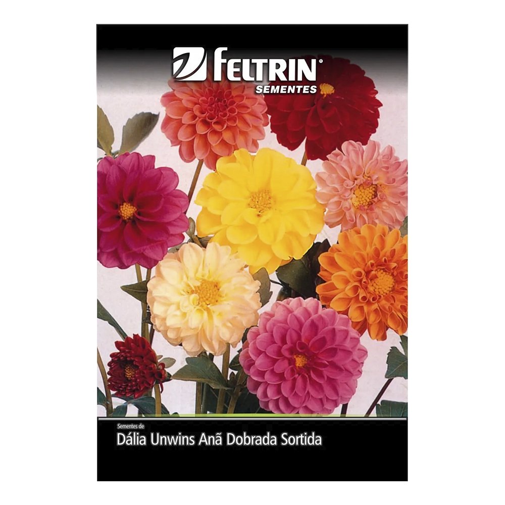Sementes de Flor Dália Unwins Anã Dobrada Sortida Feltrin 320mg - Embalagem com 20 Unidades