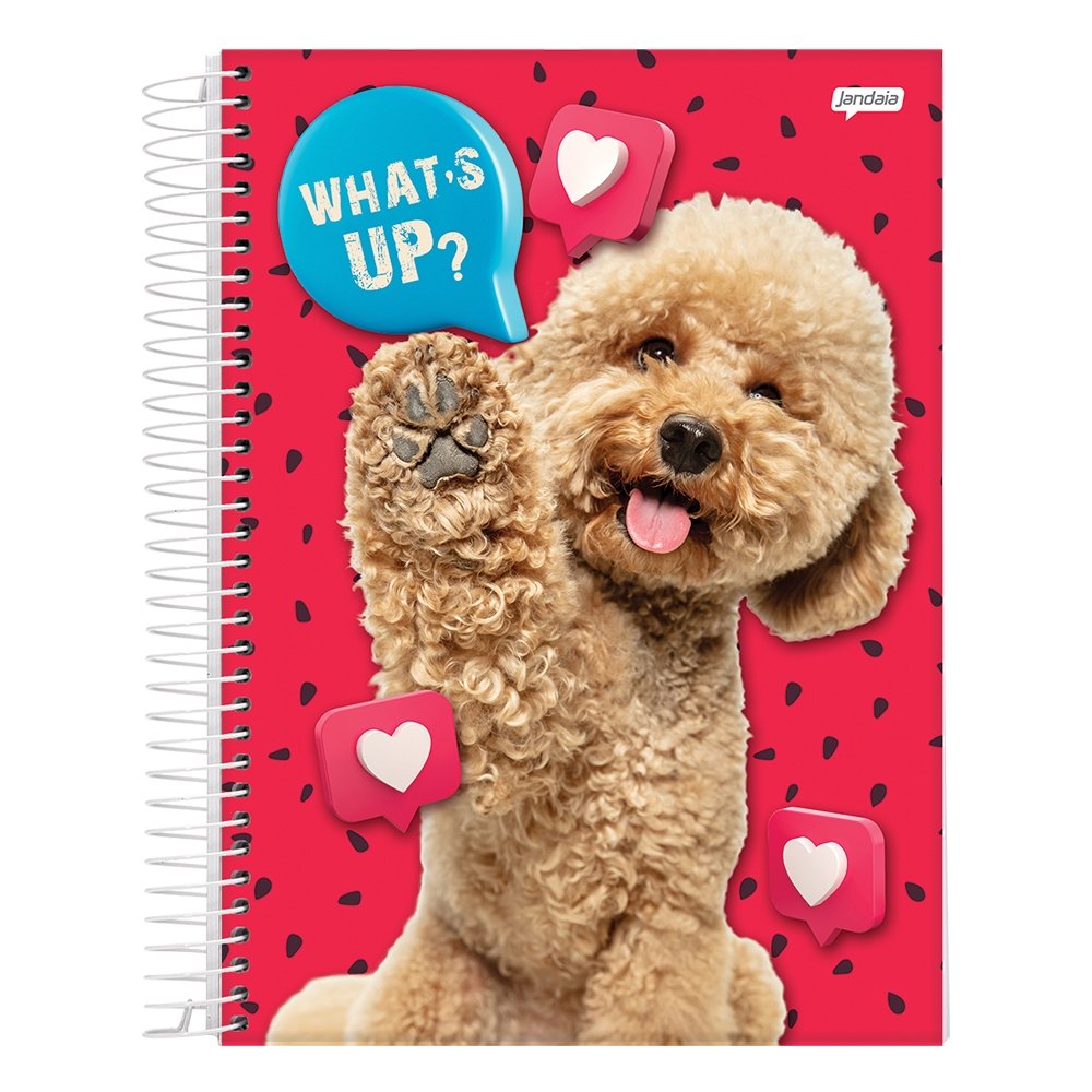 Caderno Espiral Jandaia Universitário Capa Dura Jandaia Pet 15 Matérias 240 Folhas - Embalagem com 2 Unidade (Sortidos)