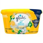 //www.efacil.com.br/loja/produto/purificador-de-ar-glade-gel-citrus-70g-embalagem-c-12-unidades-1702501/