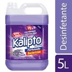 //www.efacil.com.br/loja/produto/desinfetante-kalipto-lavanda-5l-1702713/