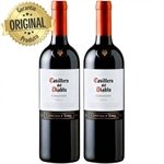 //www.efacil.com.br/loja/produto/kit-com-2-vinho-chileno-concha-y-toro-casillero-del-diablo-carmenere-tinto-garrafa-750ml-2000004975/