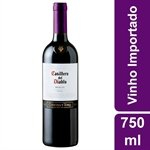 Vinho Tinto Chileno Merlot Casillero Del Diablo 750ml