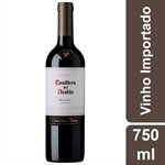 Vinho Tinto Chileno Malbec Casillero Del Diablo 750 ml